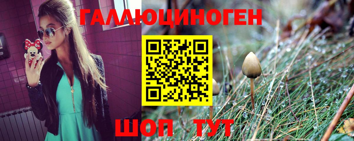 Сланцы  купить закладку  Вход с VPN  Псилоцибиновые грибы ЛСД 
